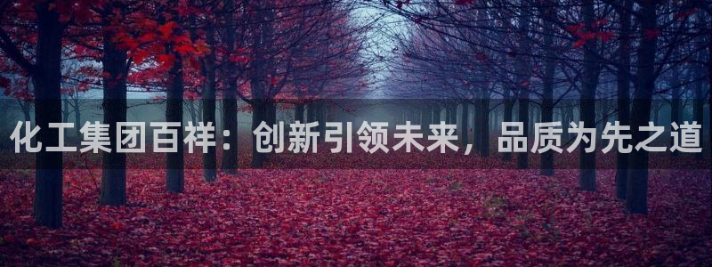 球盟会论坛：化工集团百祥：创新引领未来，品质为先之道
