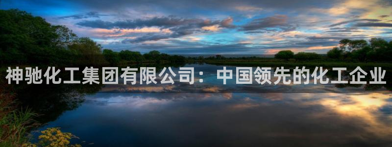 球盟会入口：神驰化工集团有限公司：中国领先的化工企业