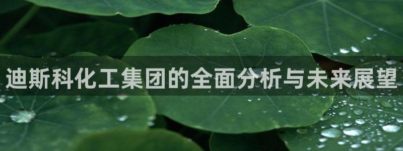 球盟会app最新地址在哪里：迪斯科化工集团的全面分析与未来展