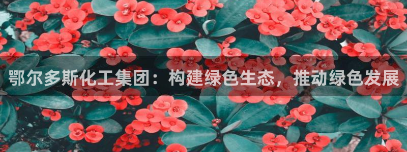 球盟会和中欧会的区别：鄂尔多斯化工集团：构建绿色生态，推动绿
