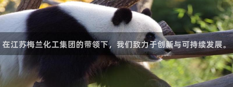 球盟会登陆入口：在江苏梅兰化工集团的带领下，我们致力于创新与