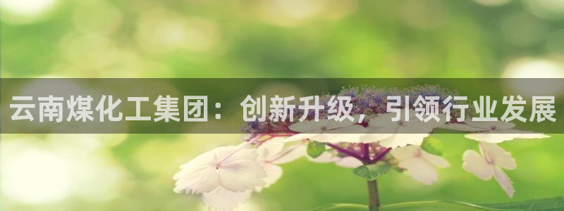 球盟会登陆：云南煤化工集团：创新升级，引领行业发展