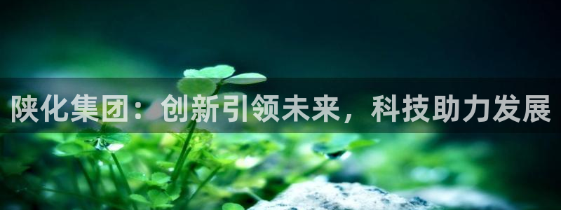 千亿球盟会乐玩：陕化集团：创新引领未来，科技助力发展