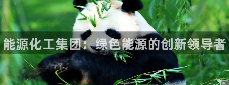 球盟会app最新地址在哪：能源化工集团：绿色能源的创新领导者