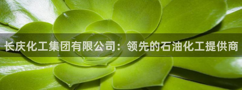 球盟会下载最新版：长庆化工集团有限公司：领先的石油化工提供商