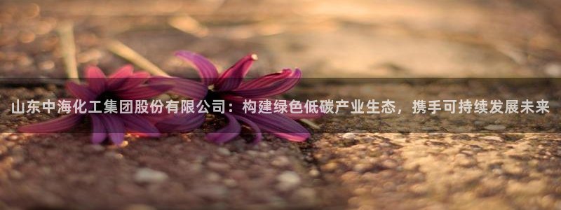 球盟会qmh网页版登录：山东中海化工集团股份有限公司：构建绿