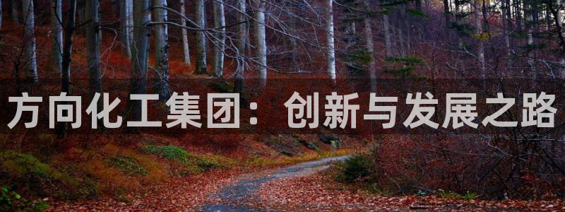 球盟会和中欧合作吗