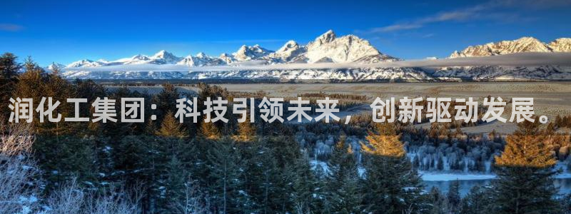 球盟会登录平台入口：润化工集团：科技引领