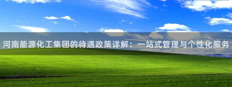 球盟会体验金球奖吗：河南能源化工集团的待