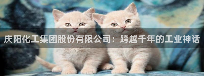 球盟会黑平台：庆阳化工集团股份有限公司：
