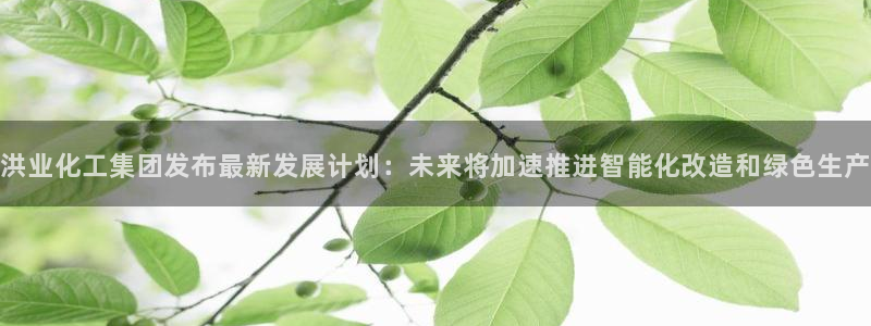 球盟会官方客服：洪业化工集团发布最新发展计划：未来将加速推进