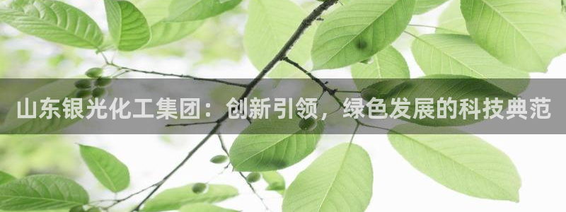 球盟会app最新地址在哪看：山东银光化工集团：创新引领，绿色