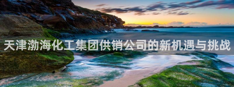 球盟会能提现吗安全吗：天津渤海化工集团供销公司的新机遇与挑战