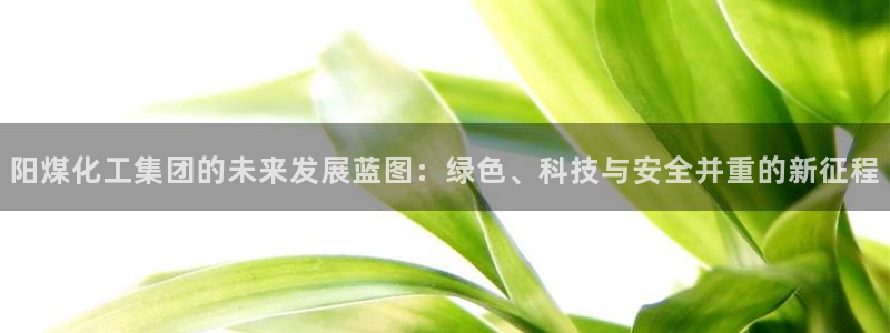 球盟会登录入口：阳煤化工集团的未来发展蓝图：绿色、科技与安全