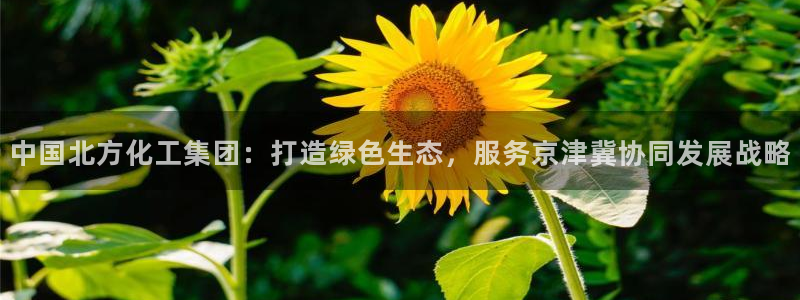 球盟会app手机登录：中国北方化工集团：打造绿色生态，服务京