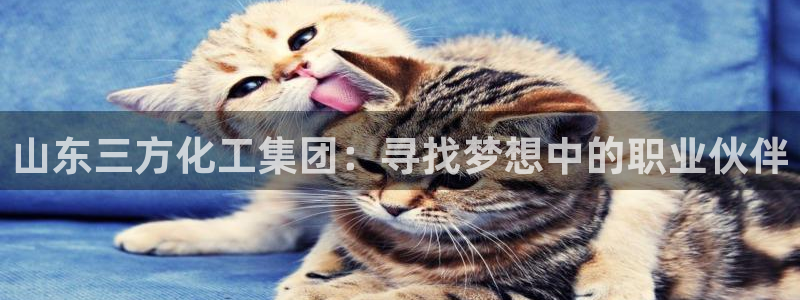 球盟会APP下载：山东三方化工集团：寻找梦想中的职业伙伴