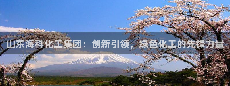 球盟会官网网页版：山东海科化工集团：创新引领，绿色化工的先锋