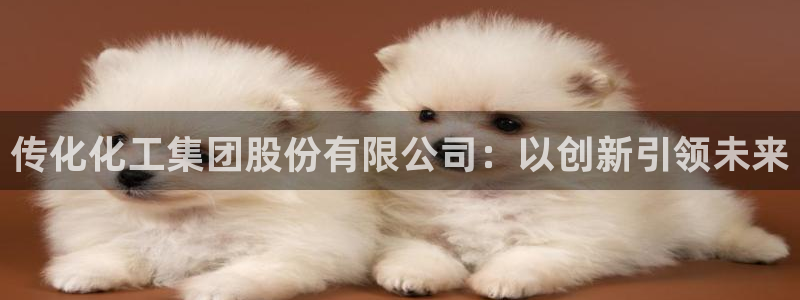 球盟会提款支付宝怎么样：传化化工集团股份有限公司：以创新引领