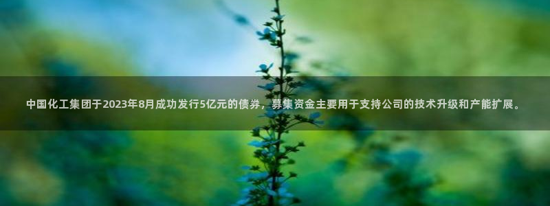 球盟会里面有打牌的嘛：中国化工集团于2023年8月成功发行5
