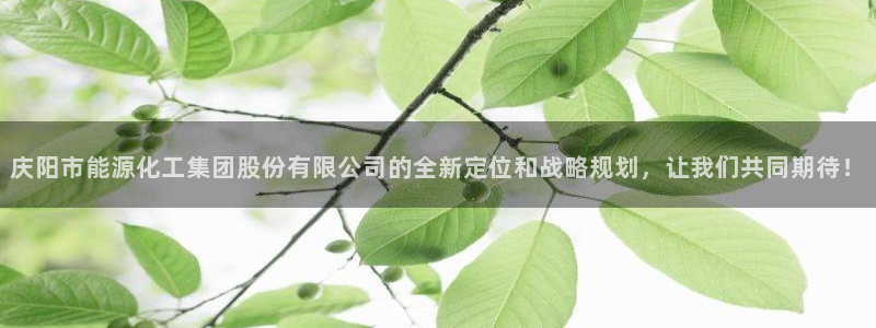 球盟会在线网站：庆阳市能源化工集团股份有限公司的全新定位和战