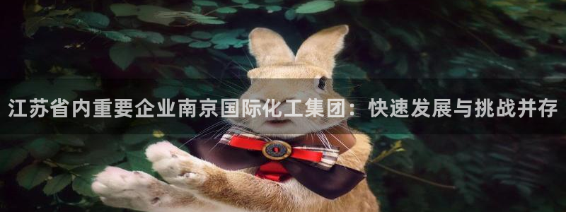 球盟会官方：江苏省内重要企业南京国际化工集团：快速发展与挑战