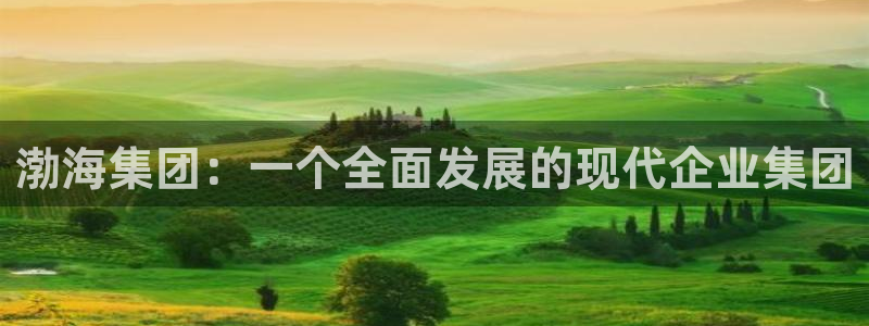球盟会封号：渤海集团：一个全面发展的现代企业集团