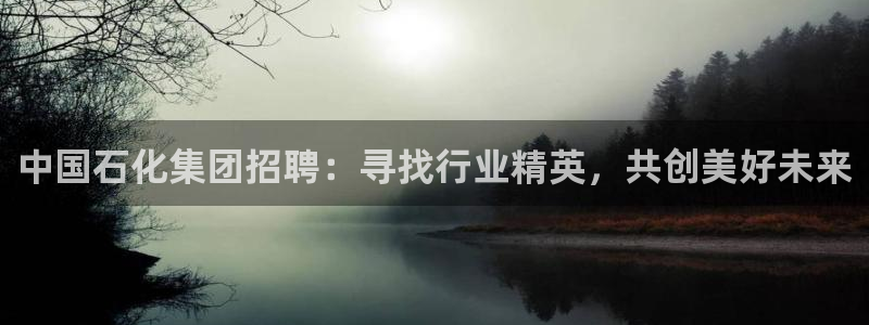 球盟会官网入口：中国石化集团招聘：寻找行业精英，共创美好未来