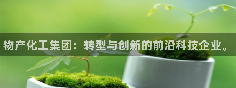 球盟会有没有黑单的：物产化工集团：转型与创新的前沿科技企业。
