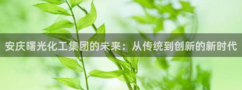 球盟会下载最新版：安庆曙光化工集团的未来：从传统到创新的新时