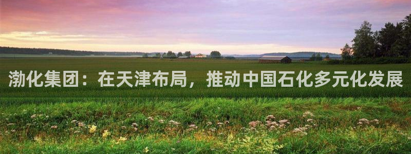 球盟会可靠不：渤化集团：在天津布局，推动中国石化多元化发展
