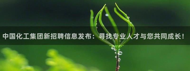 球盟会网址多少：中国化工集团新招聘信息发布：寻找专业人才与您