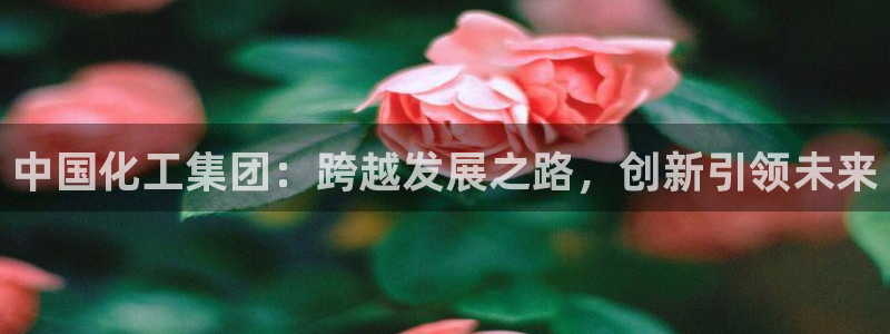 球盟会登录网址：中国化工集团：跨越发展之路，创新引领未来