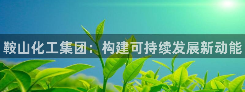 球盟会优惠券：鞍山化工集团：构建可持续发展新动能