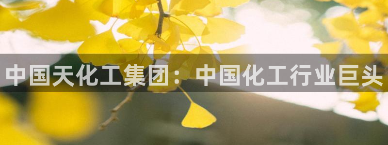 球盟会官网入口