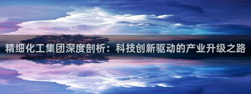 球盟会网页登录入口：精细化工集团深度剖析：科技创新驱动的产业