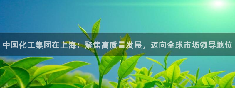 球盟会里面有打牌的嘛是真的吗：中国化工集团在上海：聚焦高质量