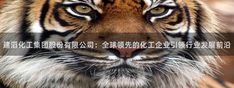 球盟会论坛：建滔化工集团股份有限公司：全球领先的化工企业引领