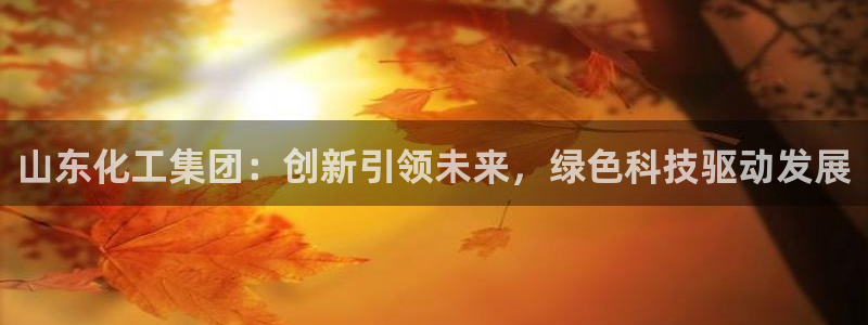 球盟会电子游戏平台：山东化工集团：创新引领未来，绿色科技驱动