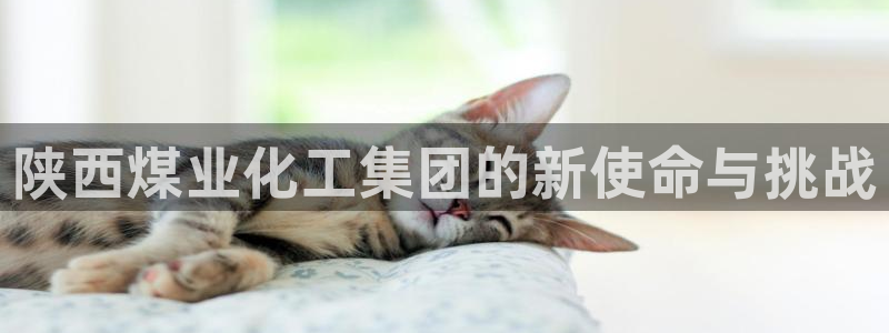 球盟会官方网页登录：陕西煤业化工集团的新使命与挑战