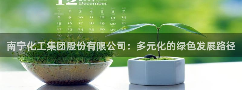 球盟会最新活动：南宁化工集团股份有限公司：多元化的绿色发展路