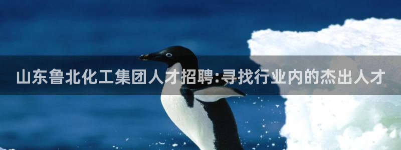 球盟会qmh网址