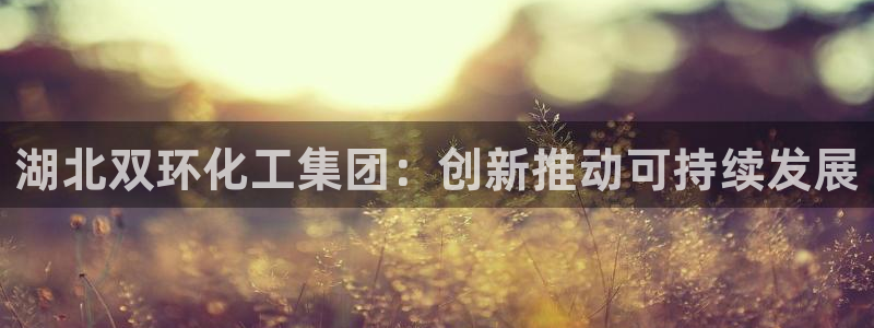 球盟会app网址多少号：湖北双环化工集团