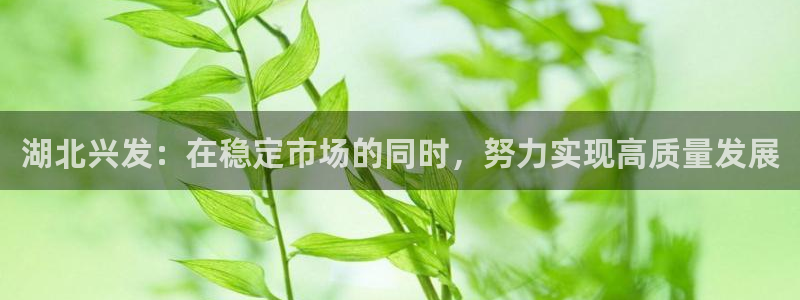 球盟会头号玩家：湖北兴发：在稳定市场的同