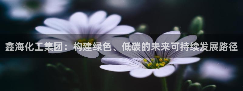 球盟会app网址多少：鑫海化工集团：构建