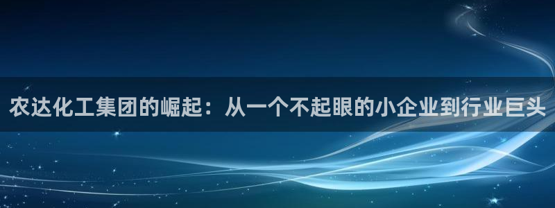 球盟会网页登录：农达化工集团的崛起：从一个不起眼的小企业到行