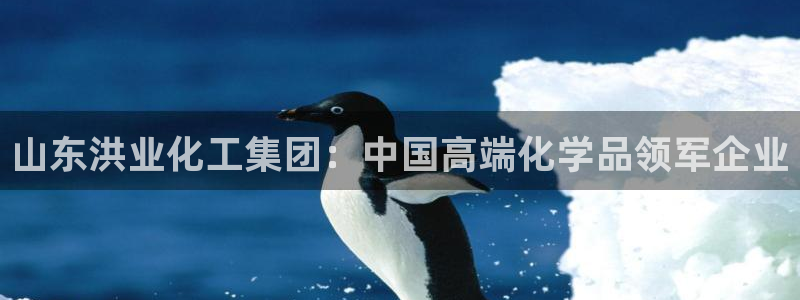 球盟会(中国)官方网站：山东洪业化工集团：中国高端化学品领军